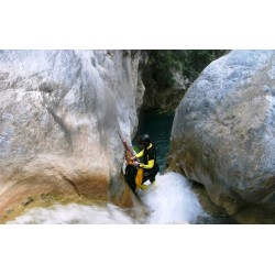 ADC CASTRIL SEAL adcsportshop.com