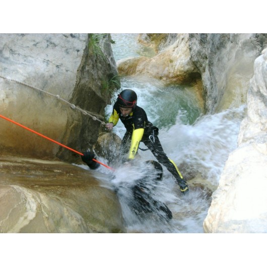 ADC CASTRIL SEAL adcsportshop.com