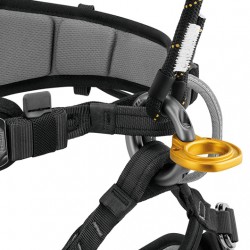 PETZL RING2RING