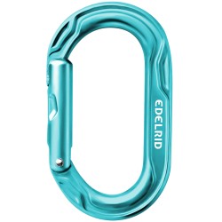 EDELRID KIWI ICEMINT | MOSQUETÓN SIMÉTRICO