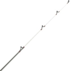 DAIWA SHORECAST SURF X 24 HIBRIDA