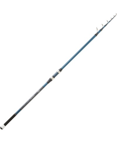 DAIWA SEALINE TELE SURF 4.20 170G