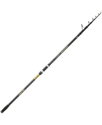 DAIWA POWERMESH TELE SURF 24 4.20M 140G