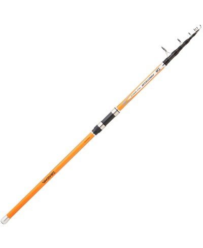DAIWA PROTEUS TELE SURF 3.60M 30/80G