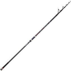 DAIWA EMBLEM SURF TYPE R - SE 4.20M 170G