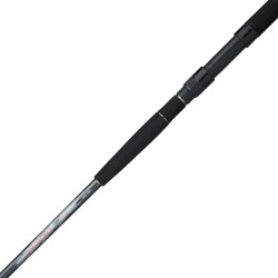 DAIWA MEGAFORCE 2,10M 50-100G