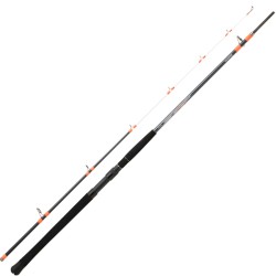 DAIWA MEGAFORCE 2,10M 100-300G