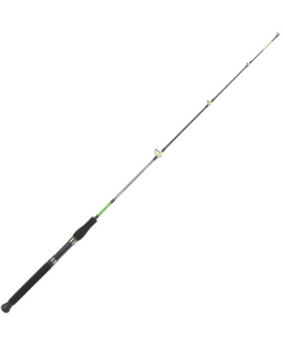 DAIWA SENSOR BOAT 2,40M 100-200G