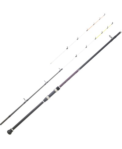 DAIWA MEGAFORCE QUIVER BOAT 2,10M