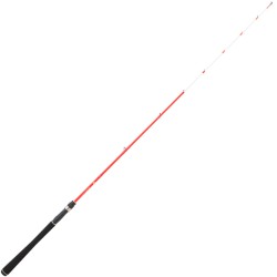 DAIWA SENSOR PALANGROTTE 1,80M 20-100G