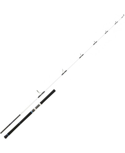DAIWA SALTIST 2,44M