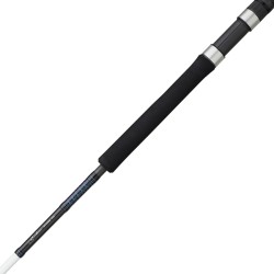 DAIWA SALTIST 2,44M