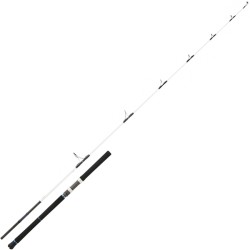DAIWA SALTIST 2,59M