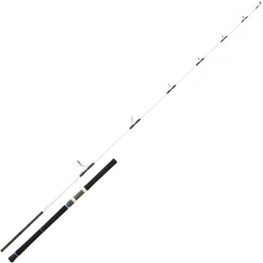 DAIWA SALTIST 2,59M