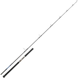 DAIWA SALTIGA LANCER 2,52M