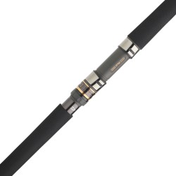 DAIWA SALTIGA LANCER 2,52M