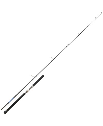 DAIWA SALTIGA LANCER 2,57M