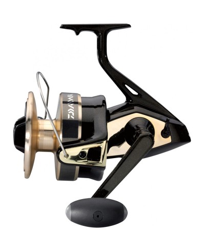 DAIWA GOLD SILVER B