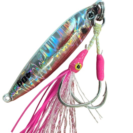BLUE CRAB JIG TUGNSTEN 60 G DOUBLE ASSIST HOOK